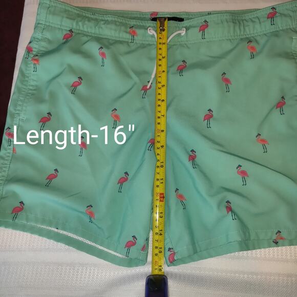 Hollister Mens Swim Trunks Sz S Green Pink Flamingos Lined Swimwear Shorts SMALL - Picture 11 of 16
